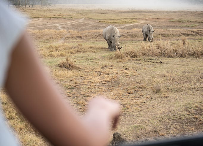 Sarova Lion Hill Game Lodge