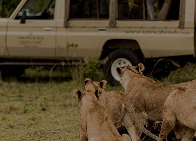 Sarova Mara Game Camp